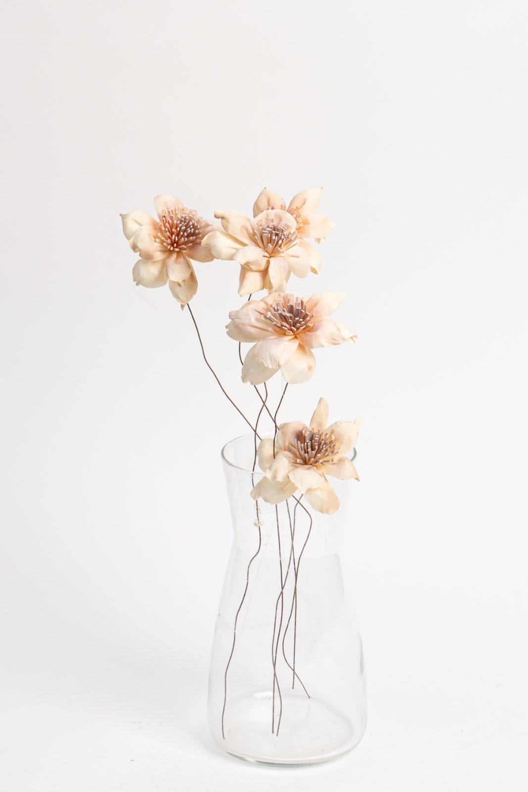 米色永生乾燥花