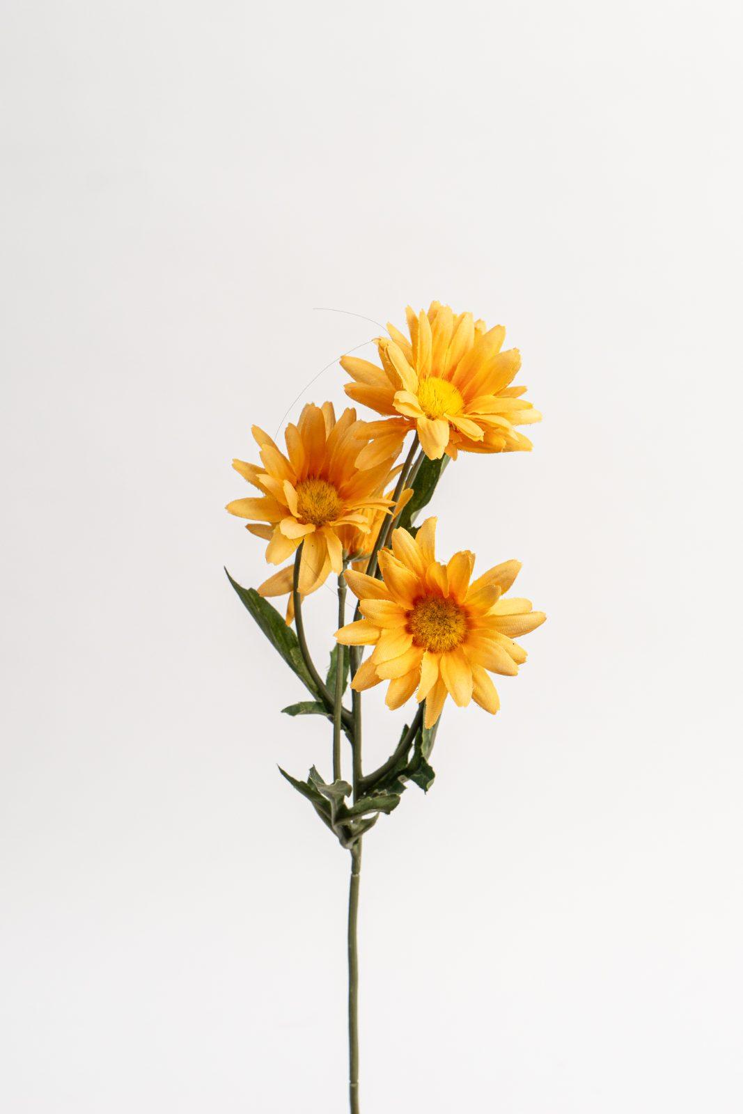 黃色人造雛菊